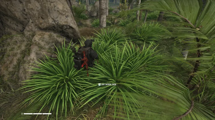 Tactical Caches