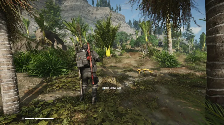 Tactical Caches