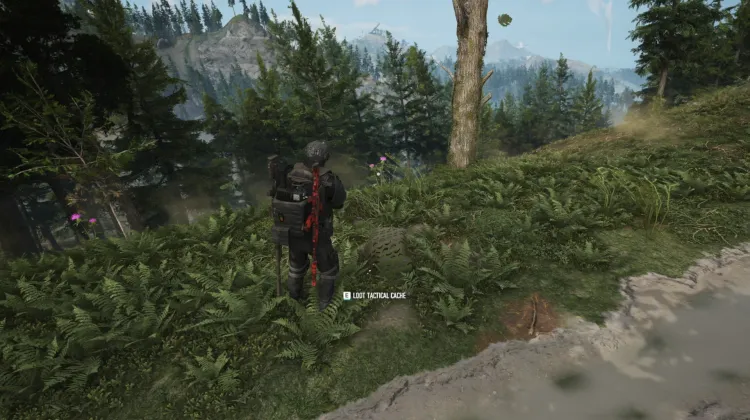 Tactical Caches
