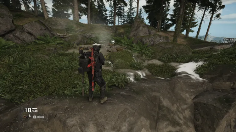 Behemoth Passage Bivouac