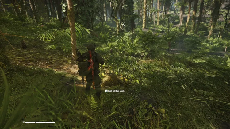 Tactical Caches