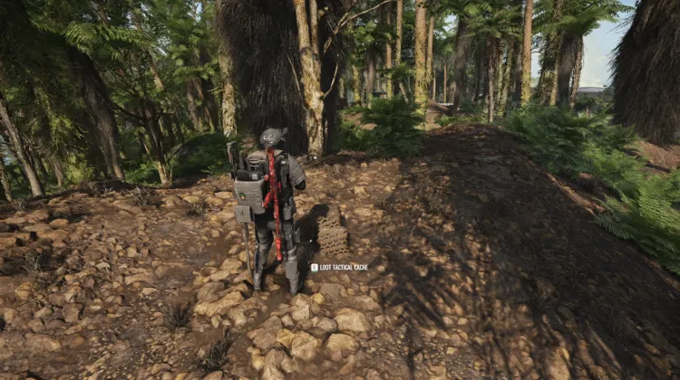 Tactical Caches