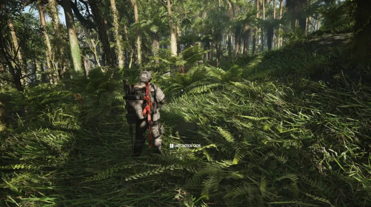 Tactical Caches