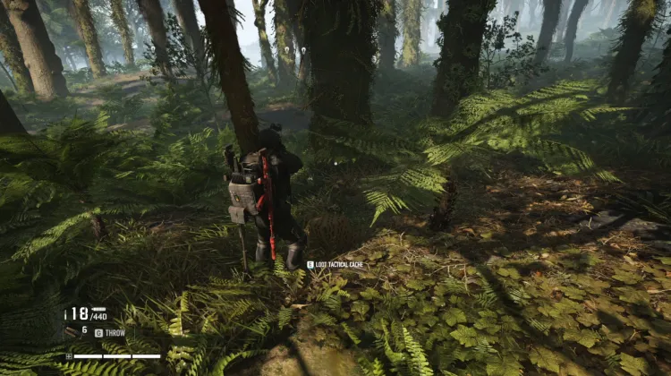 Tactical Caches
