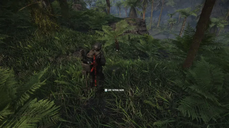 Tactical Caches