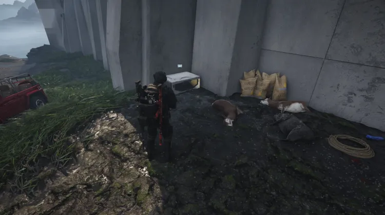 2500 Skell Credits