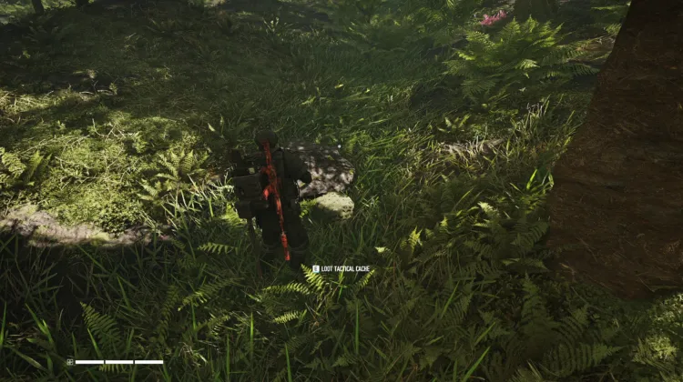 Tactical Caches