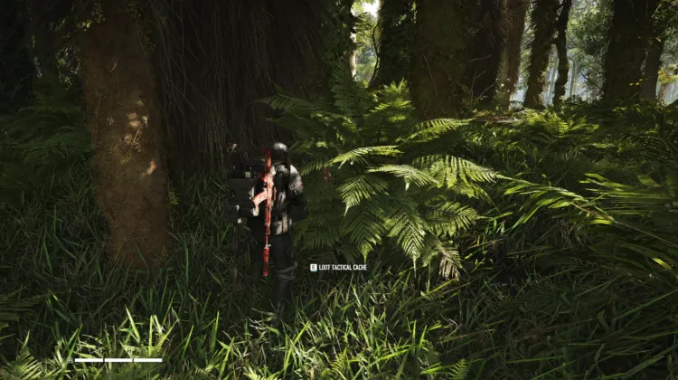 Tactical Caches