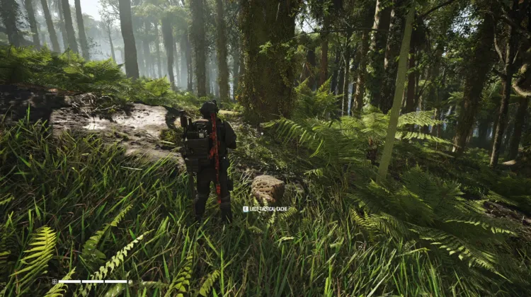 Tactical Caches