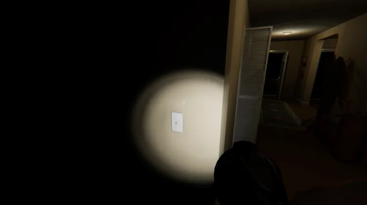 Interrupteur du Salon