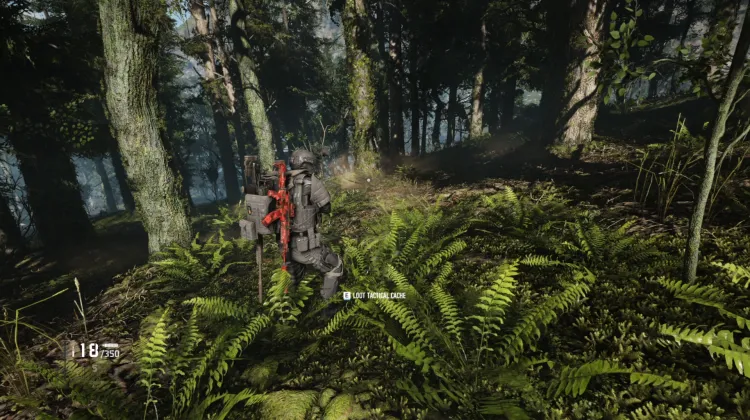 Tactical Caches