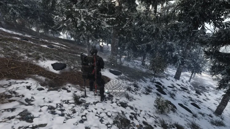 Tactical Caches