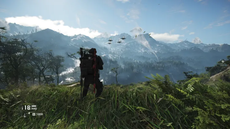 Murmur Patrol Area