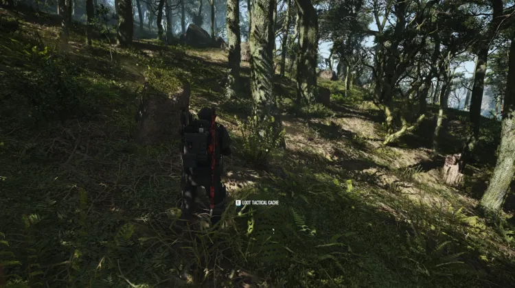 Tactical Caches