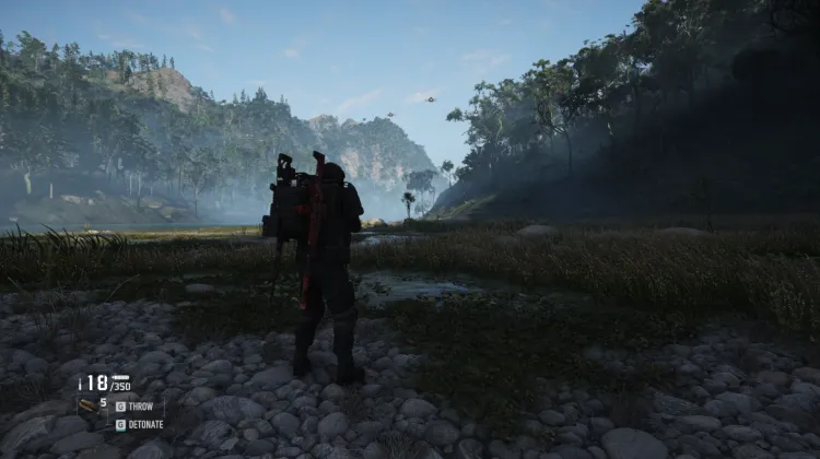 Murmur Patrol Area