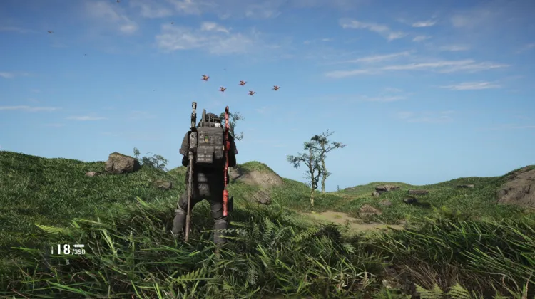Murmur Patrol Area