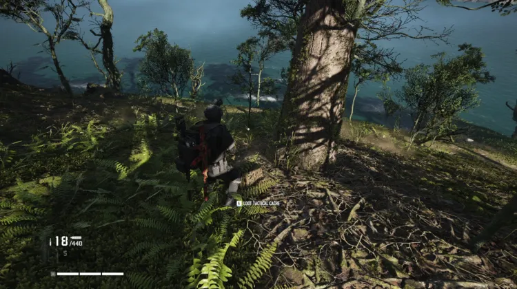 Tactical Caches