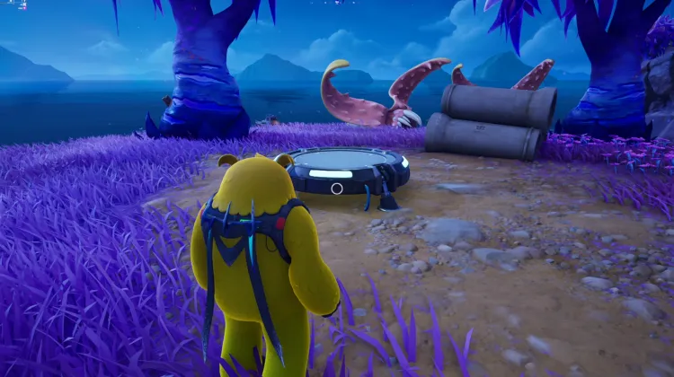 Platforma Startowa IO