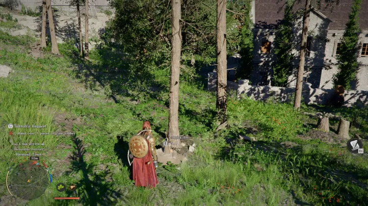 Logging Axe