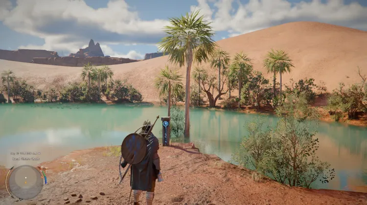 The Desert's Oasis