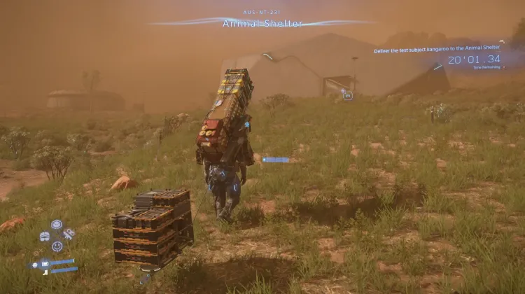 Schronisko dla Zwierząt