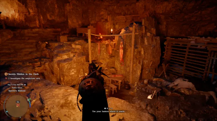 Lair of Animal Thieves