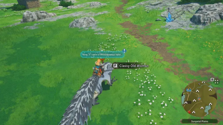 Velocidrome Nasıl Yetiştirilir 1