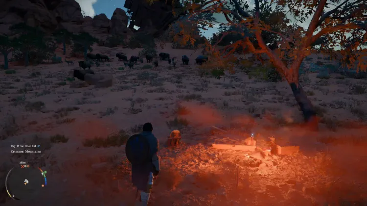 Bonfire