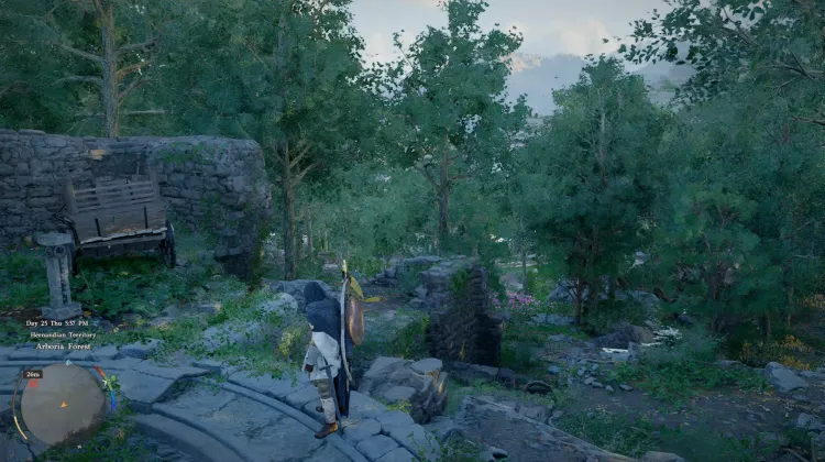 Arboria Forest Ruins