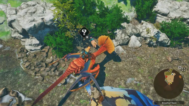 Poogie