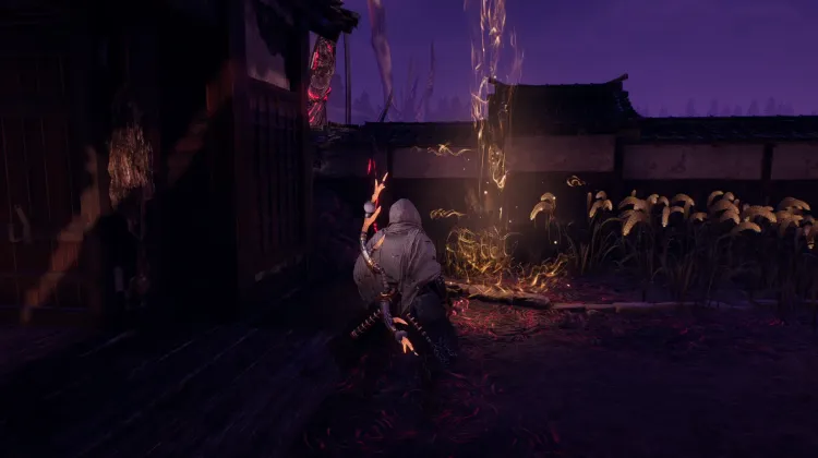 Nijo Castle Spirit Vein