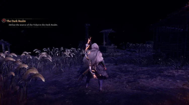 Dark Realm