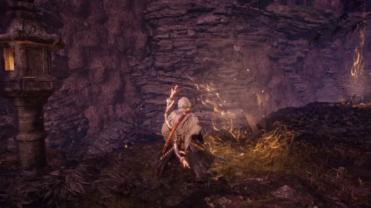 Nijo Castle Spirit Vein