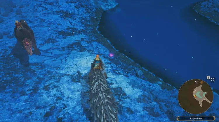 Aqua Sac