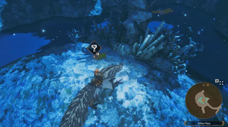 Poogie