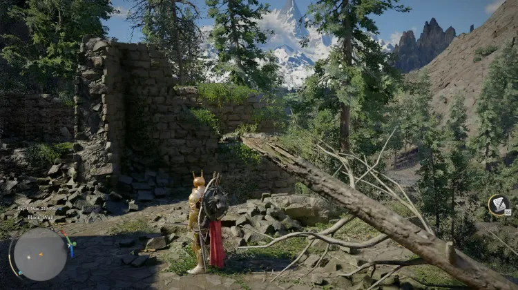 Black Wall Ruins