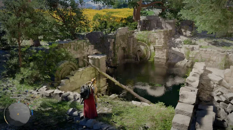 Beardtree Hills Sunflower Ruins