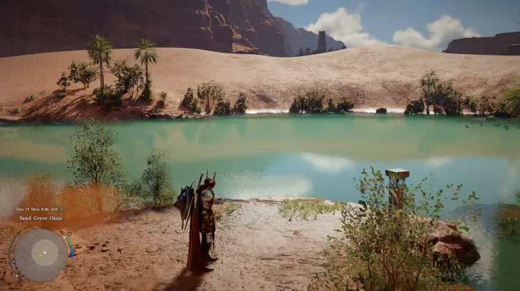 The Desert's Oasis