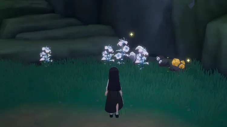 Fior di Luna x 4