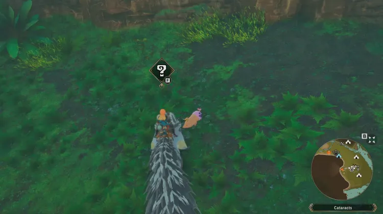 Poogie