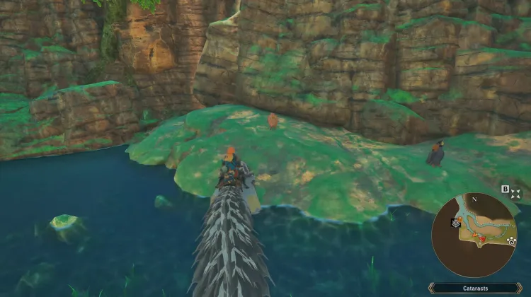 Poogie