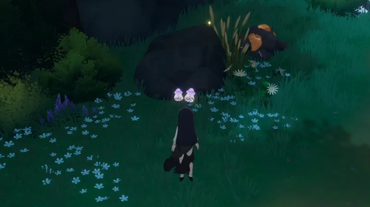 Fungofungo x 2
