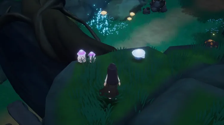 Seta de Rocío Lunar