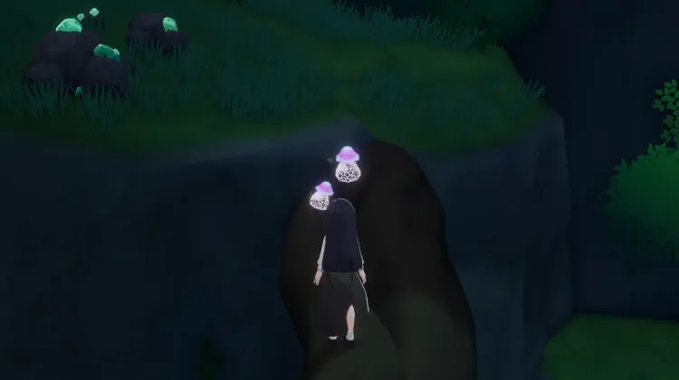 Fungofungo x 2