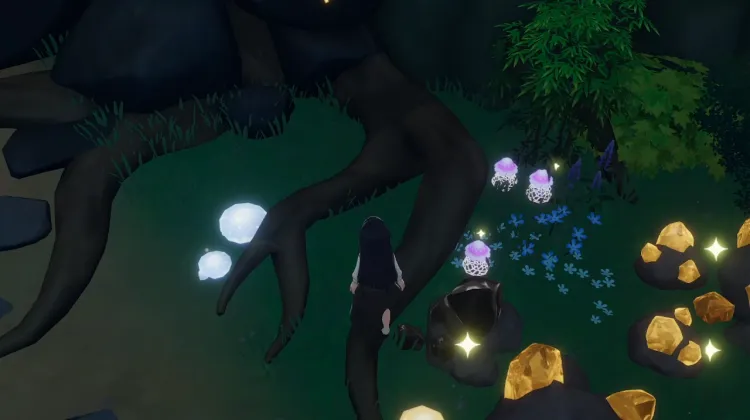 Fungo della Gioia x 3