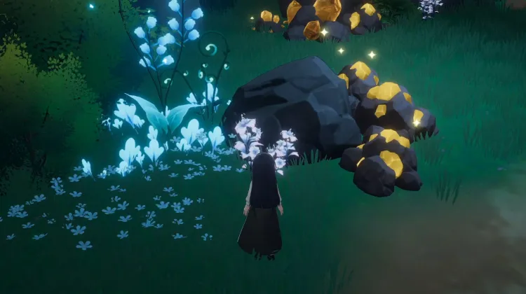 Lunifiore x 2