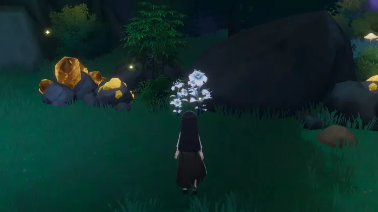Lunifiore x 2