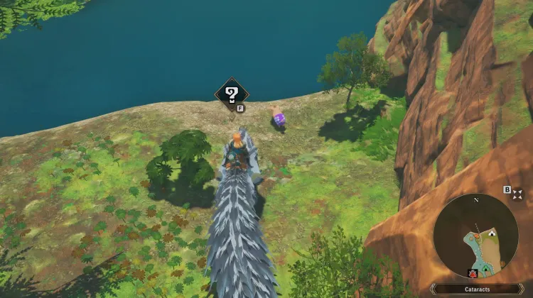 Poogie