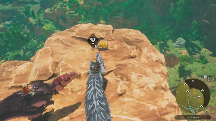 Poogie