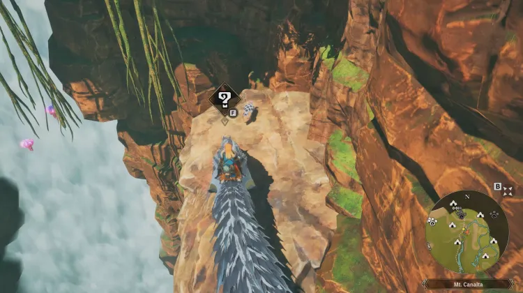 Poogie